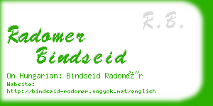 radomer bindseid business card